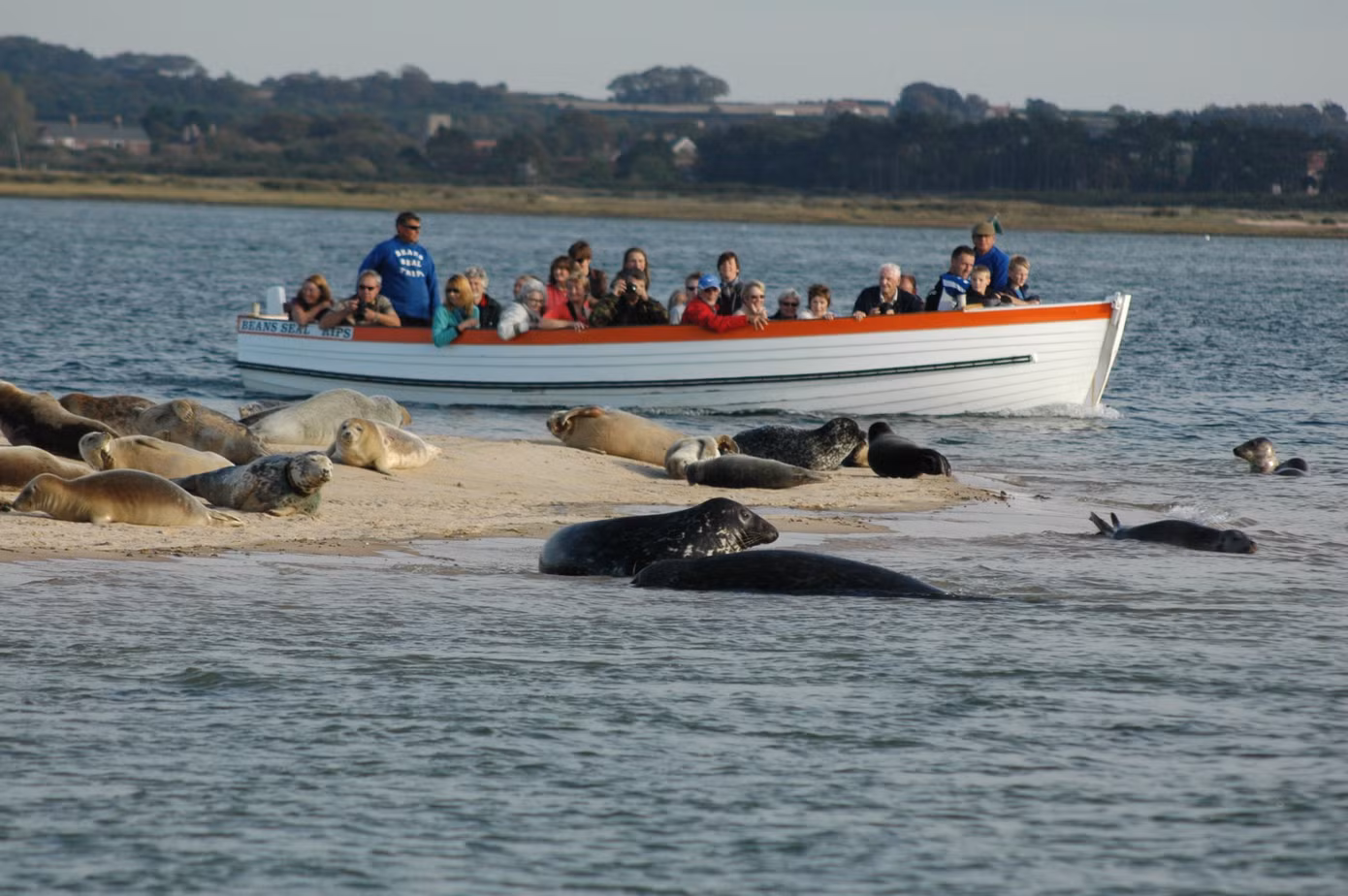Ảnh: Visit North Norfolk.