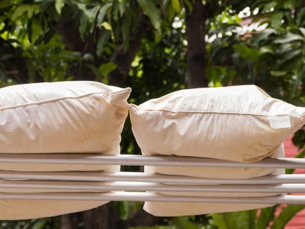 Nếu có chỗ để phơi ruột gối dưới ánh nắng thì bạn rất nên làm.