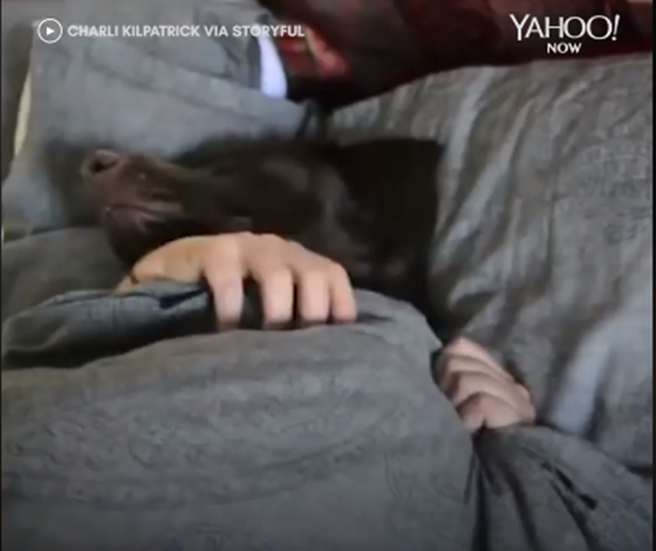 Báo thức kêu rồi, phải dậy đi làm thôi.