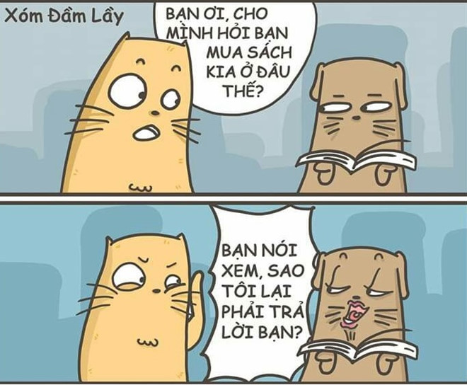 Ảnh: Xóm đầm lầy. Ảnh: Xóm đầm lầy.