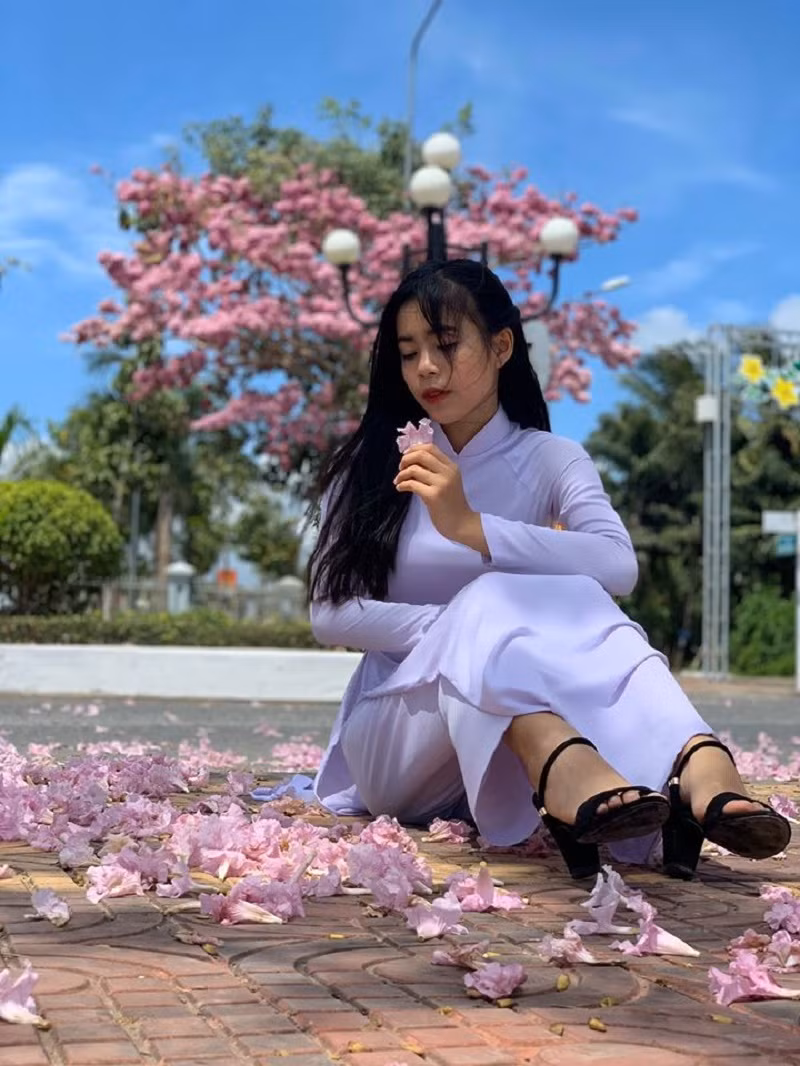 Đi qua con đường này, ai cũng muốn dừng lại một chút để tận hưởng khung cảnh lãng mạn.