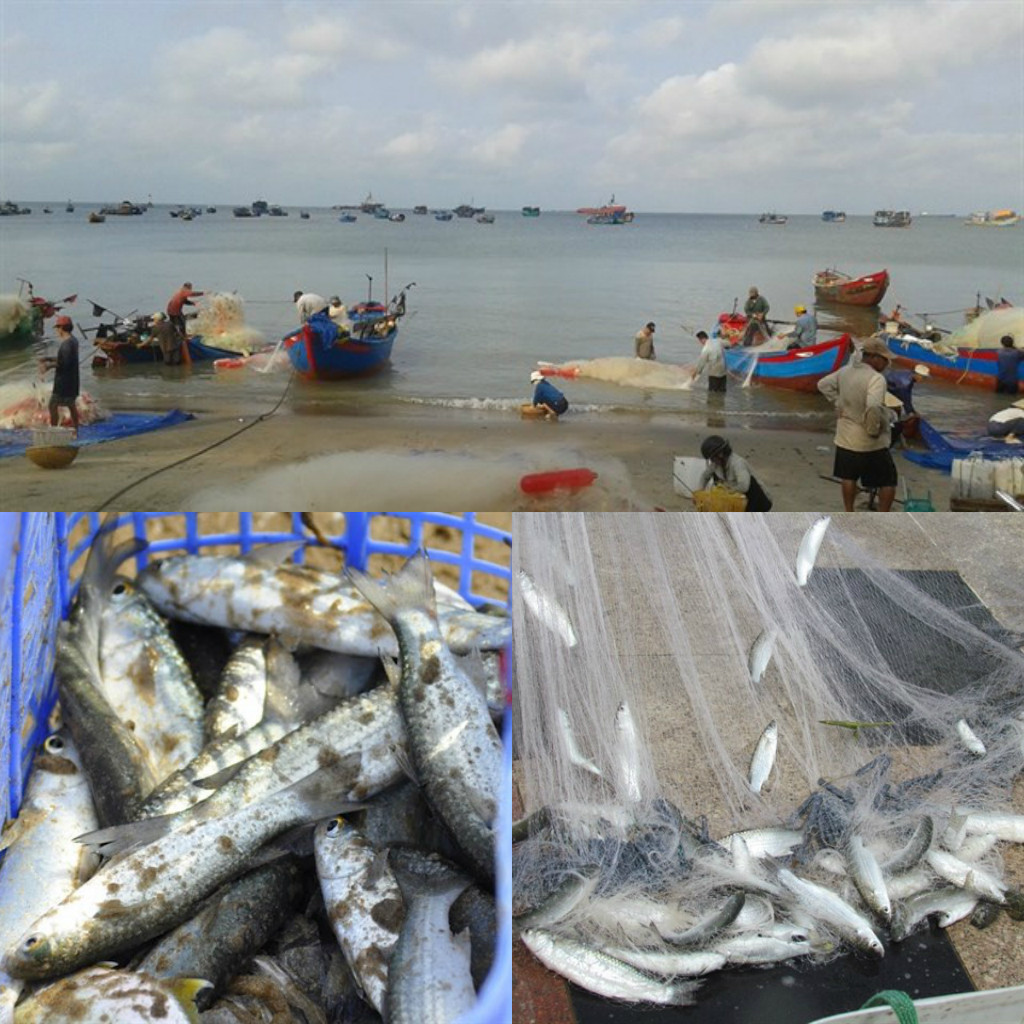 Vũng Tàu: Teen "thổ địa" Vũng Tàu bật mí địa điểm ăn ngon, giá rẻ ảnh 6