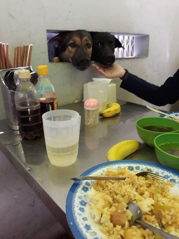 Món gì mà thơm thế? (Ảnh: Quyết Bờm)