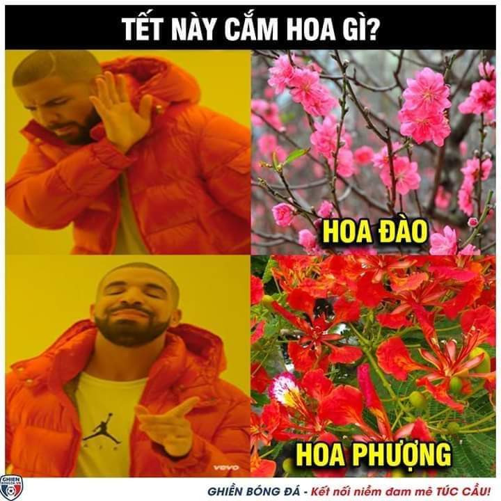 Nếu Tết này bạn chưa biết chơi hoa gì thì gợi ý đây rồi nhé! (Ảnh: Ghiền bóng đá) Nếu Tết này bạn chưa biết chơi hoa gì thì gợi ý đây rồi nhé! (Ảnh: Ghiền bóng đá)