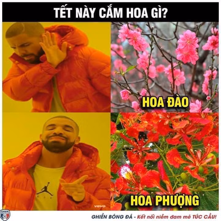 Nếu Tết này bạn chưa biết chơi hoa gì thì gợi ý đây rồi nhé! (Ảnh: Ghiền bóng đá)
