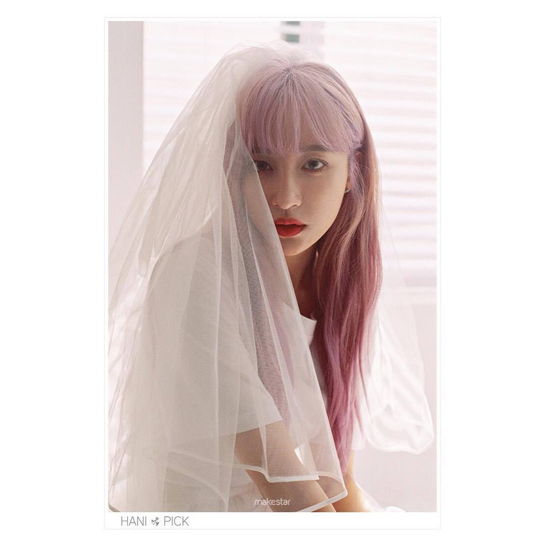 Nhiều chàng trai Hàn Quốc cho rằng Hani chính là mẫu 