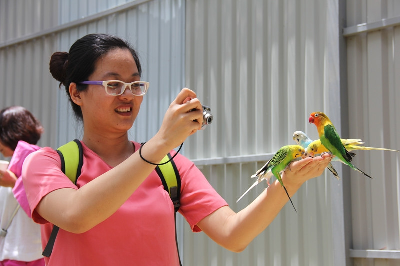 Điên rồ và đáng yêu: Chuyến đi bão táp và đáng nhớ đầu Hè ảnh 4