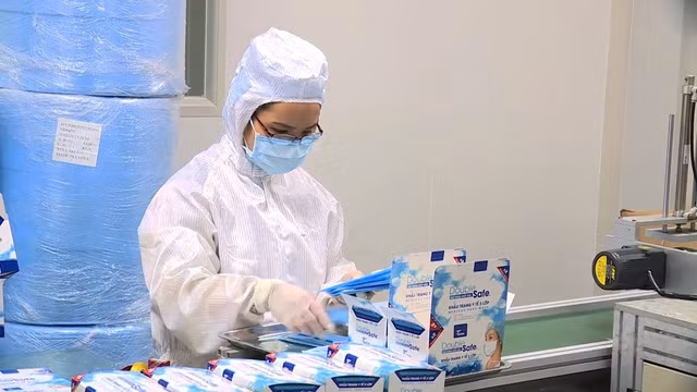 Những chiếc khẩu trang y tế sau khi được sản xuất ra sẽ được công nhân kiểm đếm và đóng thành các hộp có gán tem nhãn của nhà sản xuất.