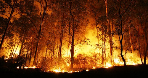 12 chòm sao đại diện cho thảm họa thiên nhiên nào, bạn có muốn biết mình là gì không? ảnh 5 12 chòm sao đại diện cho thảm họa thiên nhiên nào, bạn có muốn biết mình là gì không? ảnh 5