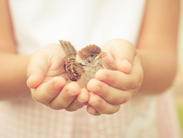 Thế giới luôn cần thêm những người tử tế.