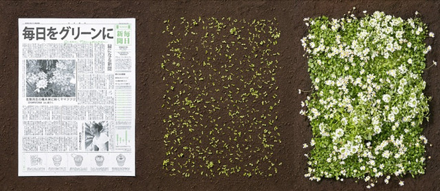 Những ý tưởng sáng tạo để giữ lấy màu xanh cho Trái Đất ảnh 1 Những ý tưởng sáng tạo để giữ lấy màu xanh cho Trái Đất ảnh 1