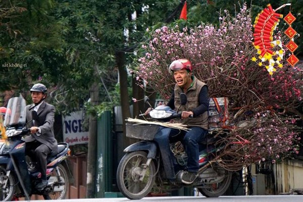 Ai mua hoa không nào?