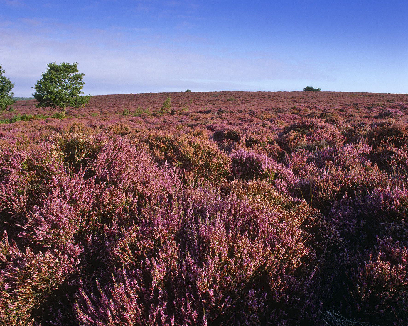 Ảnh: Locations Hub.