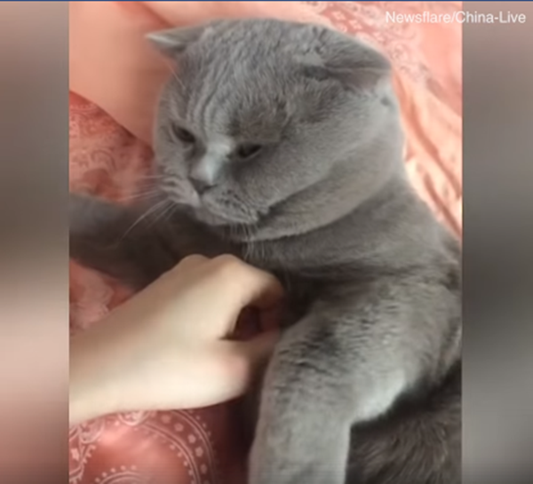 Tui đang mệt, không thích đùa.