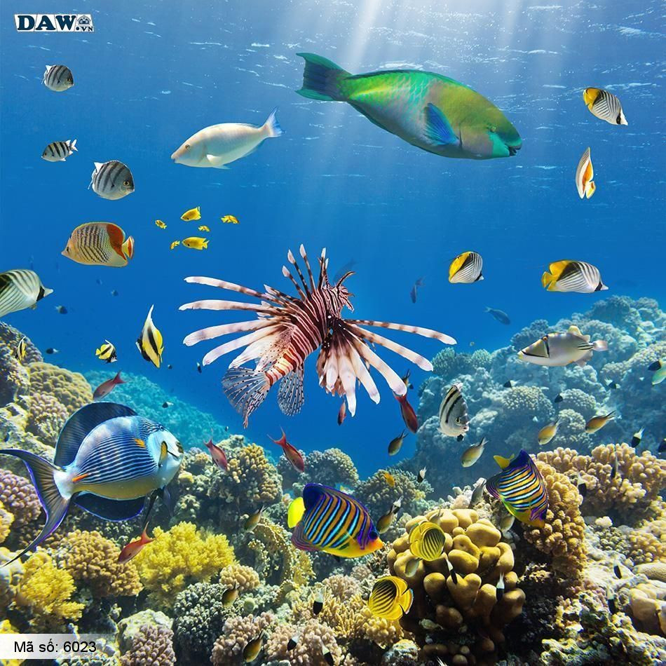 Có những điều ai cũng “bé cái nhầm” về Trái Đất, có thể bạn cũng vậy ảnh 4