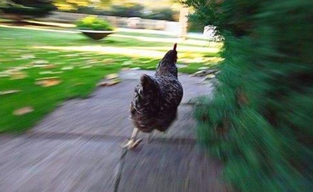 Những tình huống oái oăm ai cũng phải trải qua ít nhất chục lần ảnh 14