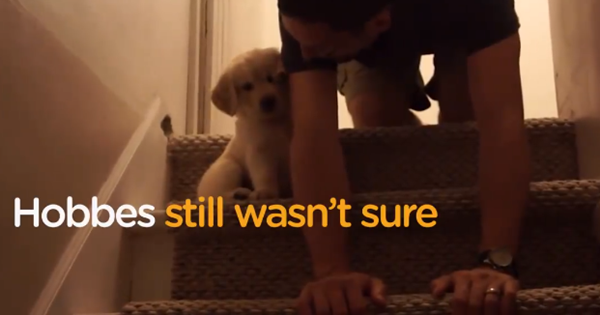 Nhìn bộ mặt đáng yêu nép vào tay ba kìa. Đáng yêu quá thôi. Cố lên cậu bé được 1 bậc rồi mà.