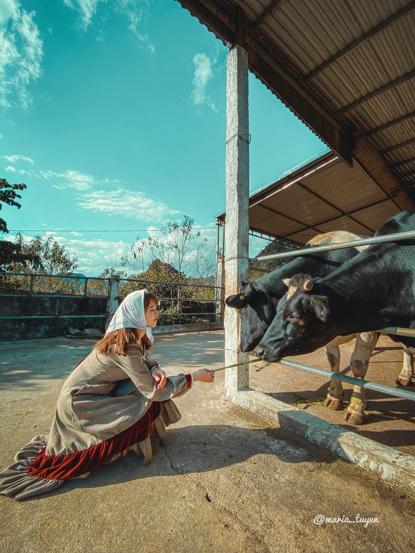 Nếu đến đây các bạn nên thử các loại sữa nhé, nhất là sữa chua, vị ở đây rất lạ miệng, thơm mũi sữa bò
