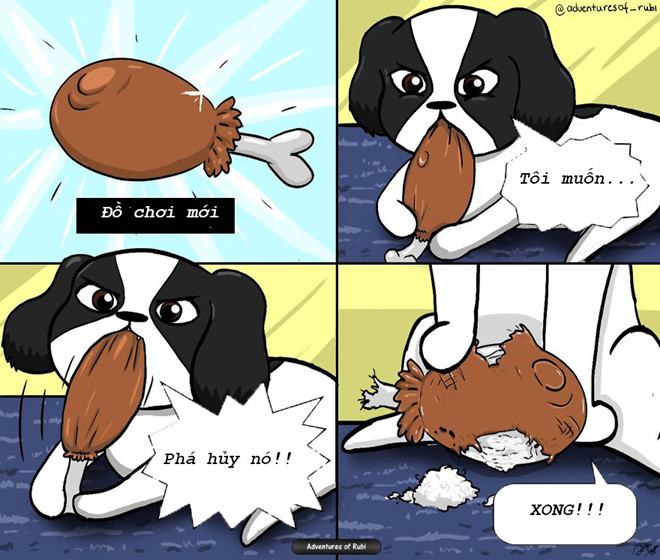 Đồ chơi mới mua về cho chơi thì không đâu, cắn tan nát mới chịu, xong còn tha lại trước mặt như vô tội không bằng.