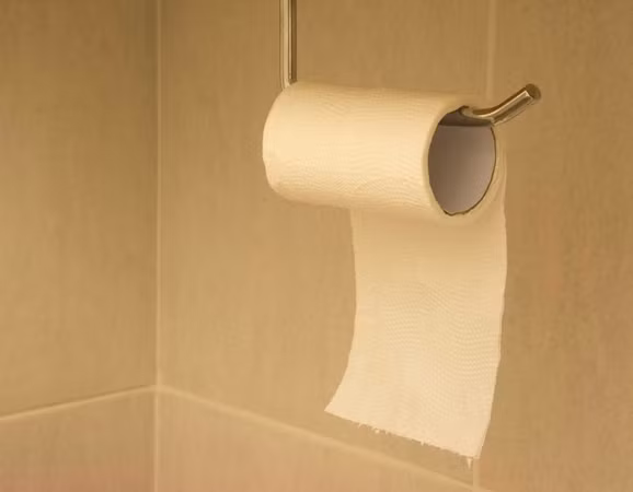 Chính cuộn giấy vệ sinh lại có thể là nơi chứa rất nhiều vi khuẩn.