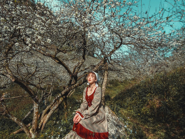 Địa điểm này nằm cách khách sạn Sao Xanh khoảng 1km. Đi qua khách sạn Sao Xanh các bạn sẽ thấy có biển chỉ dẫn điểm chụp ảnh tham quan rừng mơ, những đứng từ trên đường là các bạn có thể nhìn thấy cả 1 thung lũng mơ trắng ngút ngàn rồi