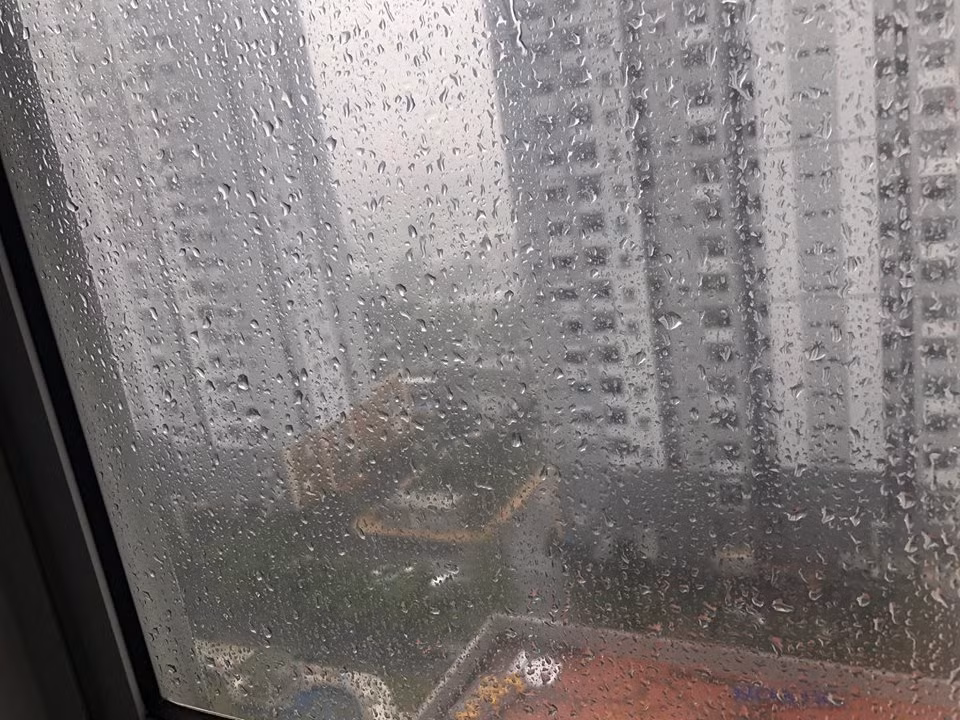 Tại khu vực huyện Bình Chánh, TP.HCM.