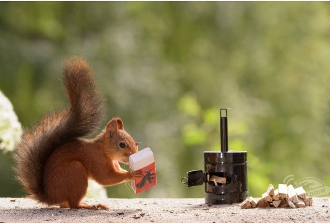 Hầu hết mọi người đều cảm thấy vui vẻ và thích thú với concept ấn tượng này.