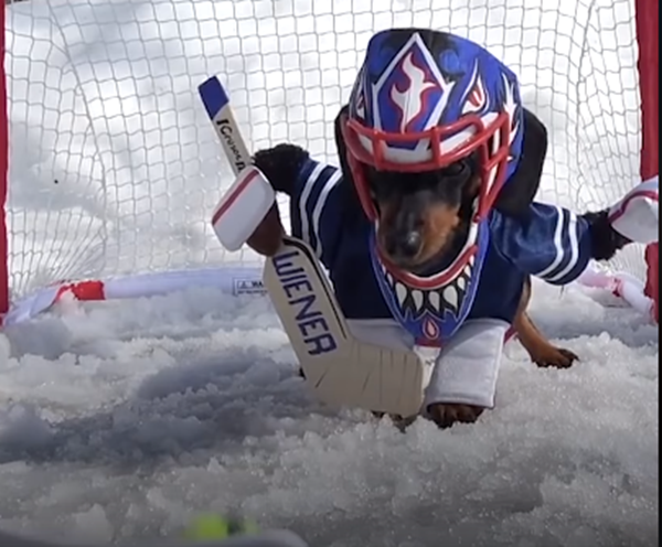 Hùng dũng, can đảm khi trấn giữ khung thành.