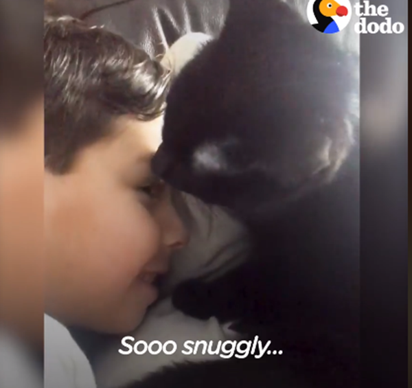 Một nụ hôn từ đôi mắt...