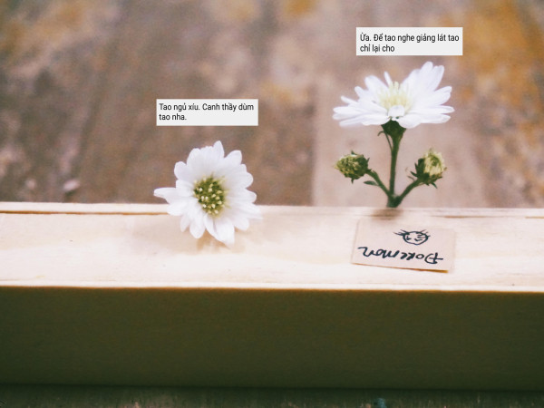 Bạn bè tốt có nghĩa là...