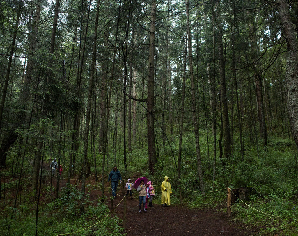 Ảnh: Kirsten Luce.