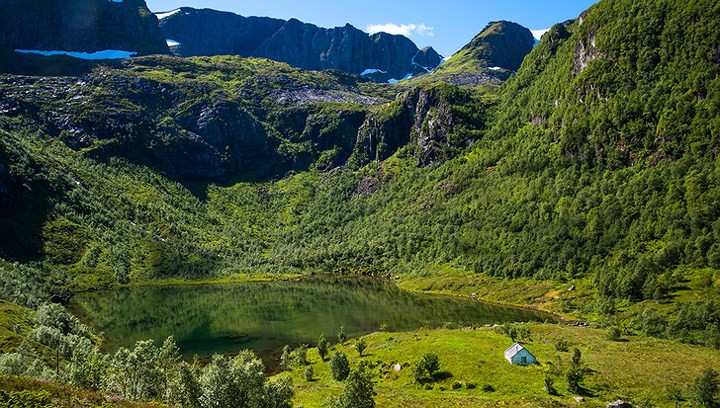 Có vẻ như thiên nhiên đã sử dụng tất cả các sắc thái của màu xanh lá cây trong bức ảnh này.