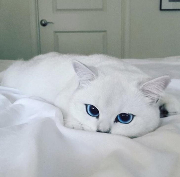 Mỗi bức ảnh của Coby đều thu hút hàng nghìn lượt thích.