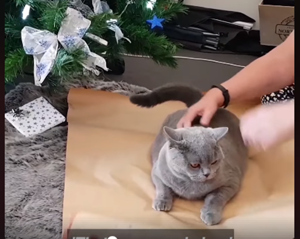 Còn đây, thì dụ tôi nằm yên nào, không được động đậy đây.