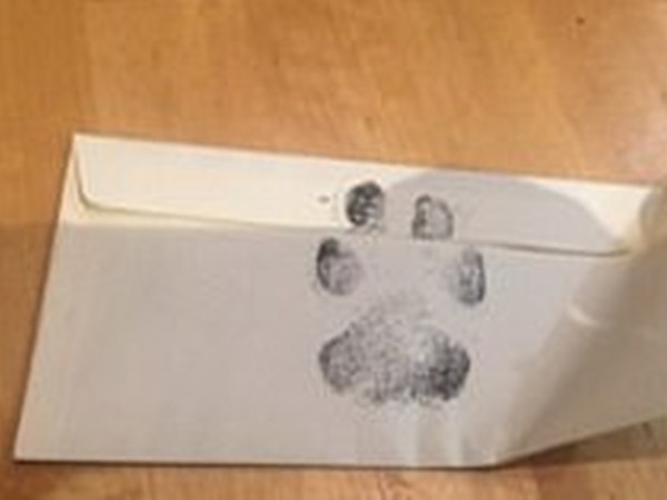 Ngoài phong bì thư của Stevie Ticks còn có cả dấu chân của chú nữa.