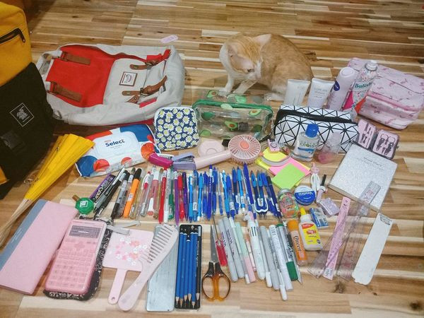 Quả thực, số đồ dùng học tập cũng tiêu tốn không ít tiền của các bạn học sinh. Quả thực, số đồ dùng học tập cũng tiêu tốn không ít tiền của các bạn học sinh.