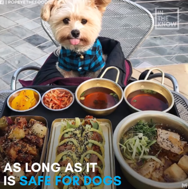 Bữa tối quá thịnh soạn này có cần phải nghiêm chỉnh như vậy không nhỉ?