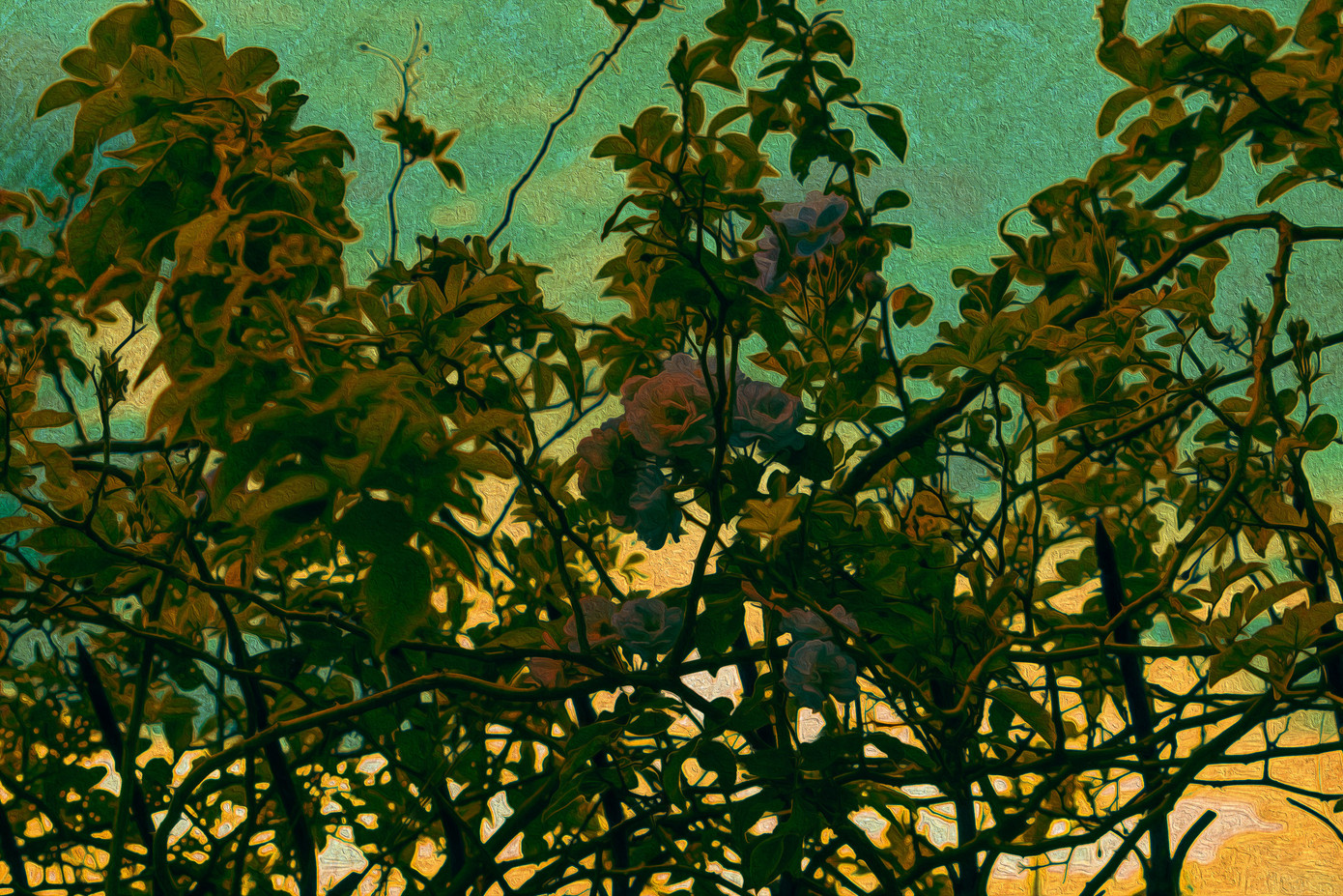 Bạn có biết tên của loài hoa này không?