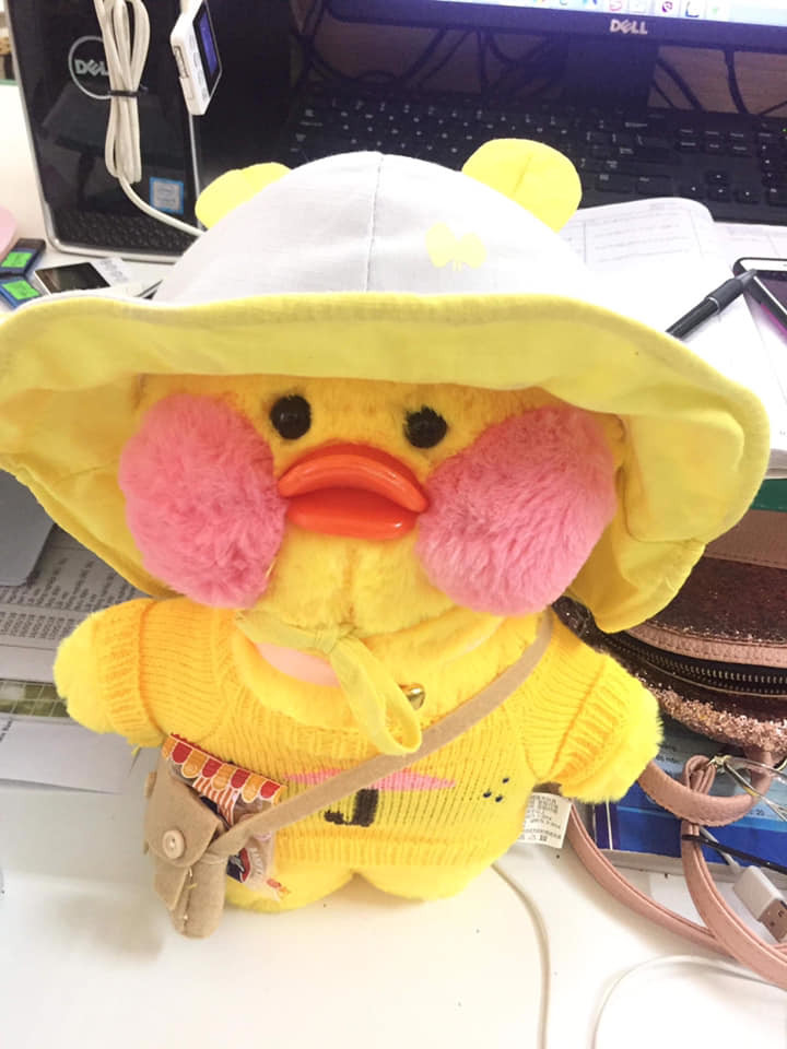 Vịt bông đã "full" phụ kiện.