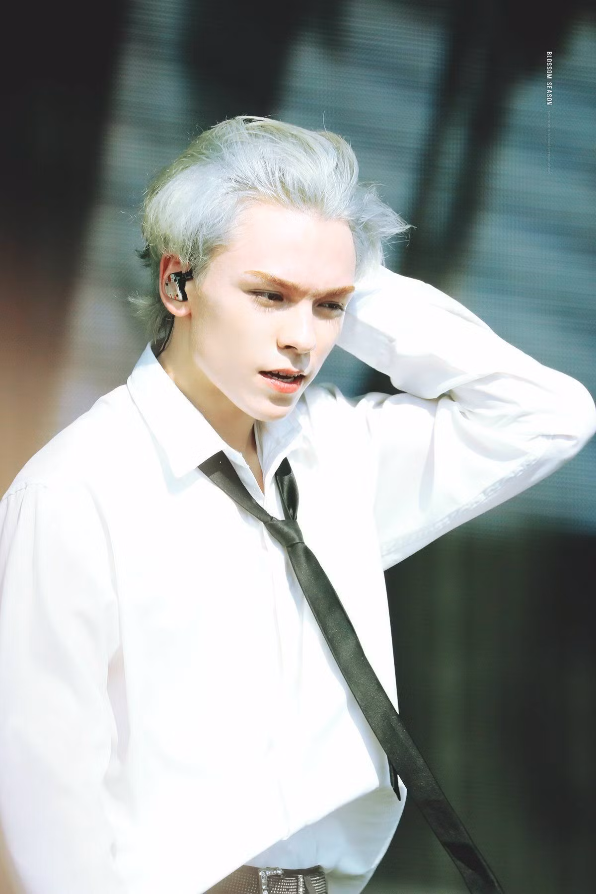 Vernon (SEVENTEEN) 