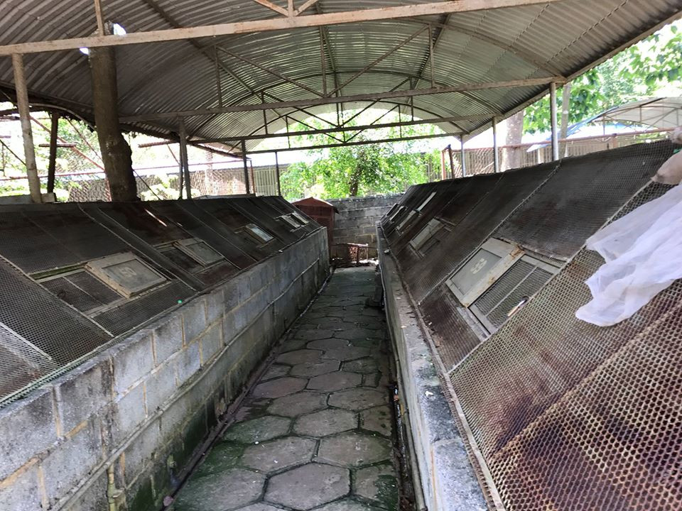 Một góc của "trại tập trung".