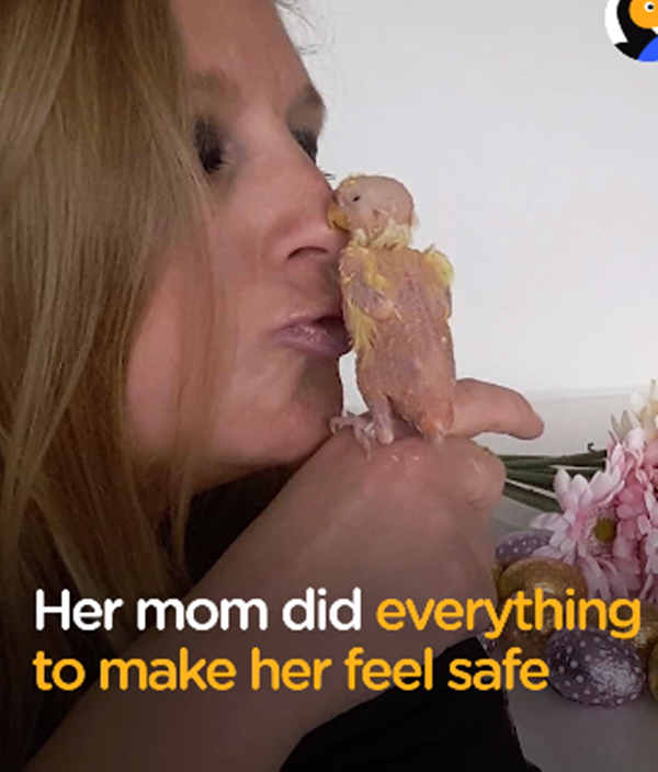 Nhờ tình yêu của mẹ...