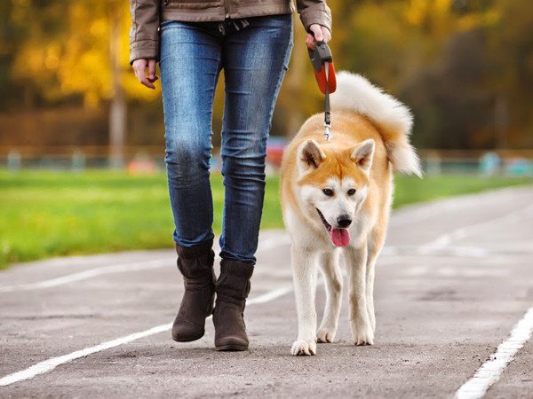 Chỉ cần biết đầu tư đúng 15 phút, khả năng ghi nhớ của bạn sẽ tiến bộ rõ rệt.