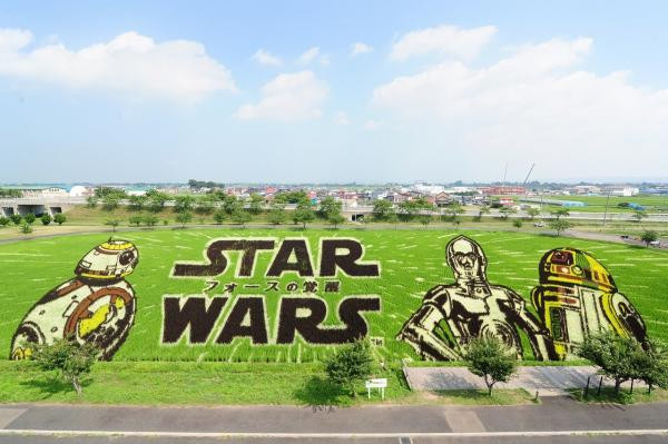 Bức tranh Star Wars chào đón khách tham quan vào năm 2017. Bức tranh Star Wars chào đón khách tham quan vào năm 2017.