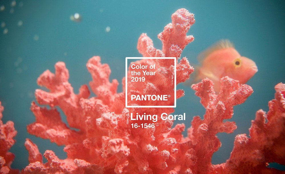 Living Coral (Cam san hô) sẽ trở thành màu sắc chủ đạo của năm 2019. Living Coral (Cam san hô) sẽ trở thành màu sắc chủ đạo của năm 2019.