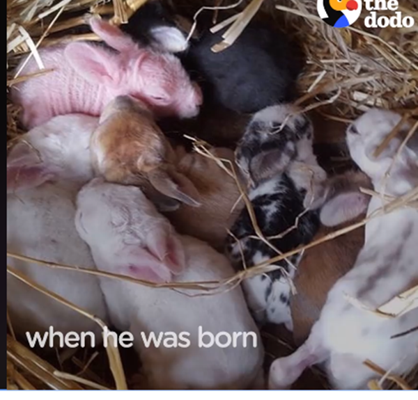 Từ khi tôi sinh ra ...