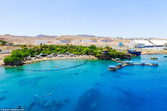 Dolphin Reef Beach ở Israel được mô tả giống như một ốc đảo với những ngôi nhà trên cây. Không chỉ có vậy, các chú cá heo ở đây còn vô cùng thân thiện.