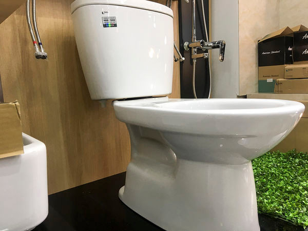 Nên đậy nắp bồn cầu khi xả nước để hạn chế vi khuẩn phân tán không khí. (Internet) Nên đậy nắp bồn cầu khi xả nước để hạn chế vi khuẩn phân tán không khí. (Internet)