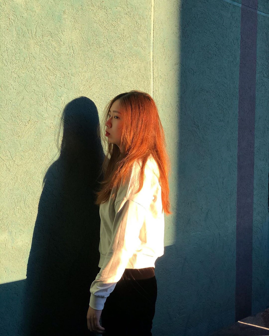 Ảnh: Alovely_garden, Cosin_han.