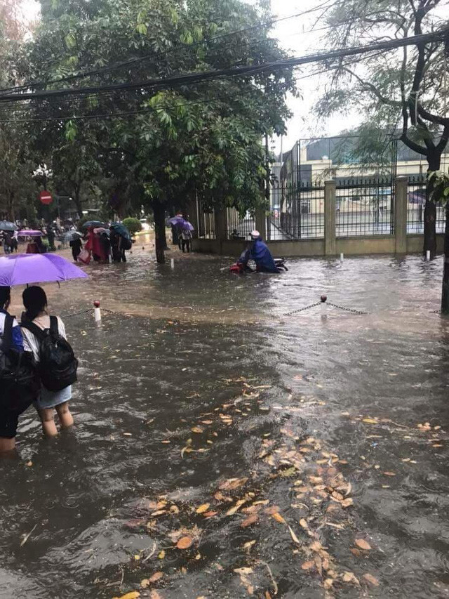 Khu vực tại Trường THPT Chuyên ngoại ngữ (Dịch Vọng Hậu, Cầu Giấy, Hà Nội).